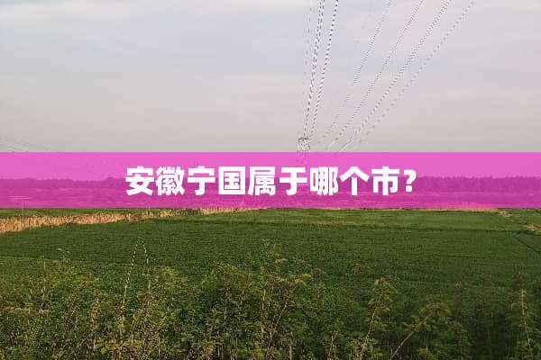 安徽宁国属于哪个市？