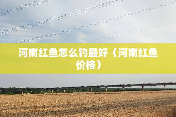 河南红鱼怎么钓最好（河南红鱼价格）