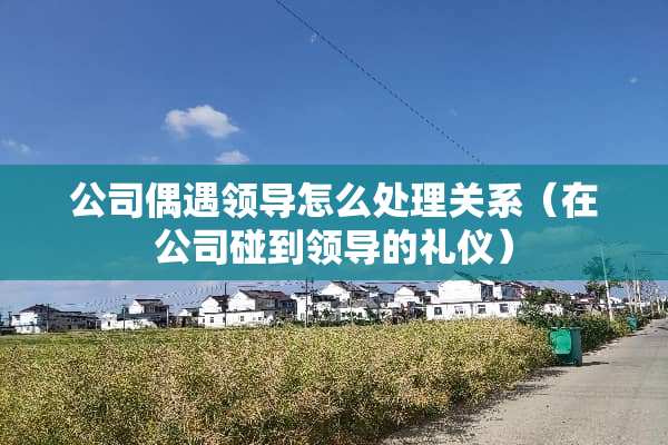 公司偶遇领导怎么处理关系（在公司碰到领导的礼仪）