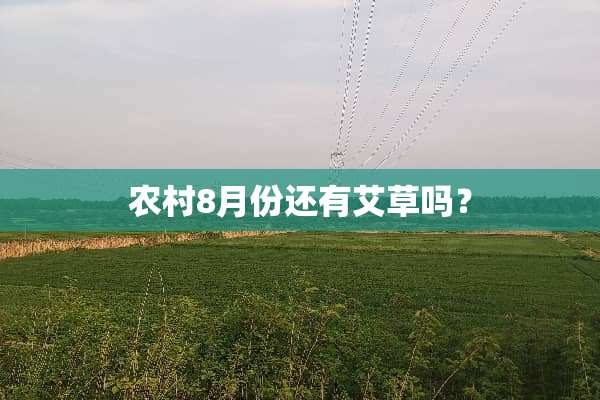 农村8月份还有艾草吗？