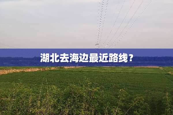 湖北去海边最近路线？