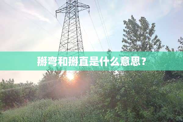 掰弯和掰直是什么意思？