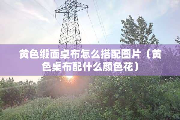 **缎面桌布怎么搭配图片（**桌布配什么颜色花）