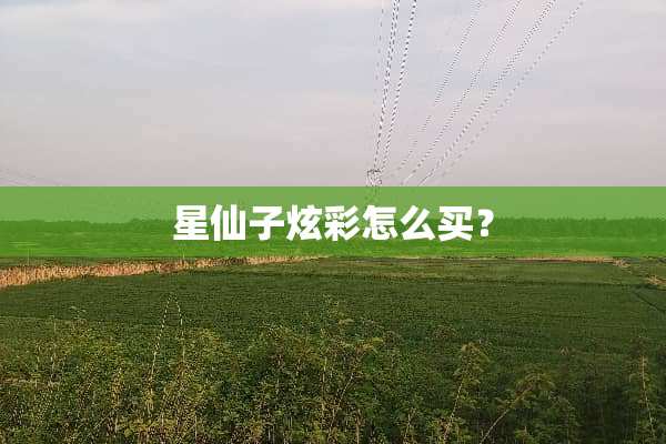 星仙子炫彩怎么买？