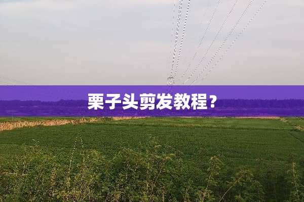 栗子头剪发教程？