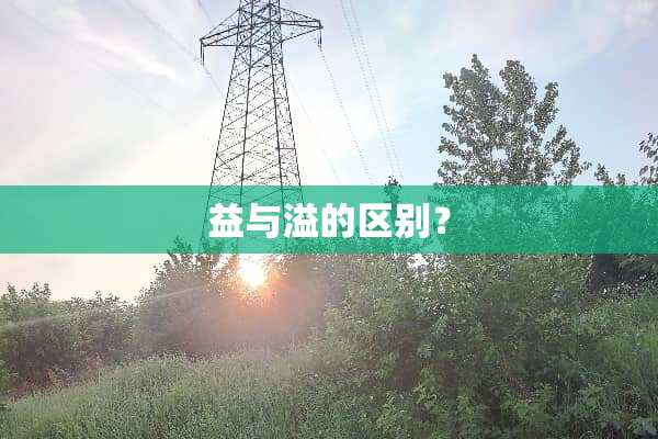 益与溢的区别？