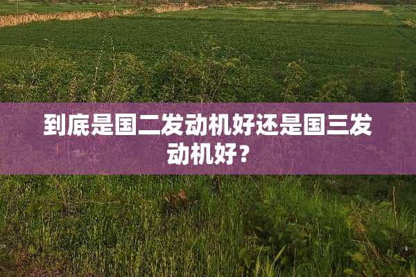 到底是国二发动机好还是国三发动机好？