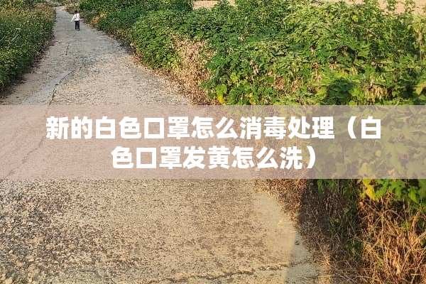 新的白色口罩怎么消毒处理（白色口罩发黄怎么洗）