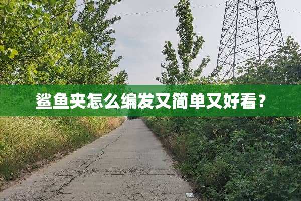 鲨鱼夹怎么编发又简单又好看？