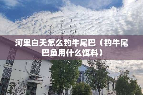 河里白天怎么钓牛尾巴（钓牛尾巴鱼用什么饵料）
