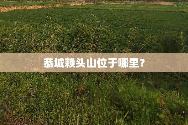 恭城赖头山位于哪里？