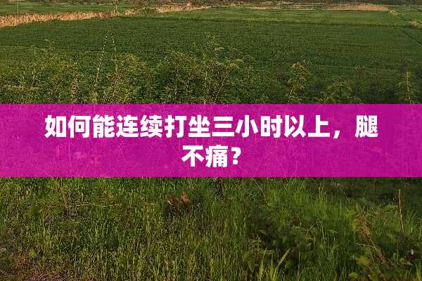 如何能连续打坐三小时以上，腿不痛？