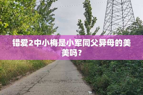 错爱2中小梅是小军同父异母的美美吗？