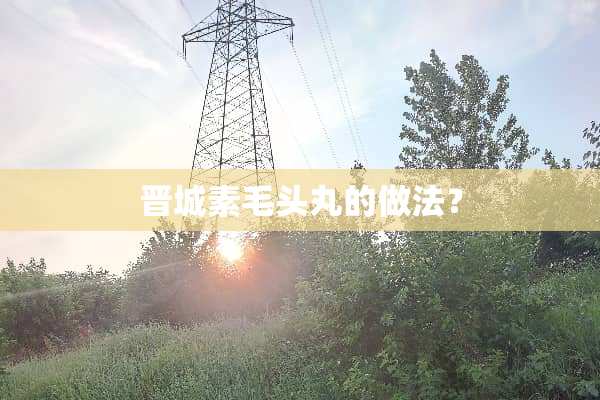 晋城素毛头丸的做法？