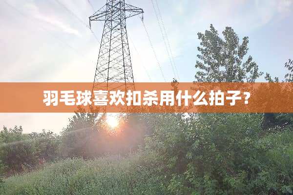 羽毛球喜欢扣杀用什么拍子？