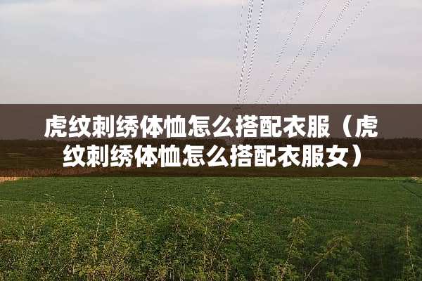 虎纹刺绣体恤怎么搭配衣服（虎纹刺绣体恤怎么搭配衣服女）