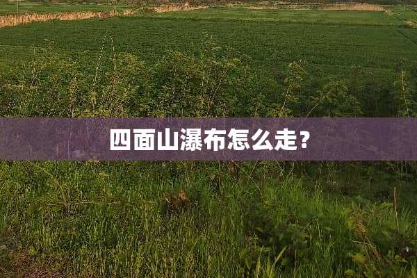 四面山瀑布怎么走？