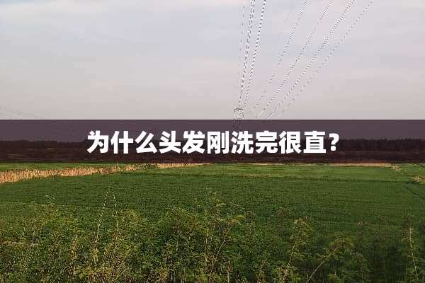 为什么头发刚洗完很直？