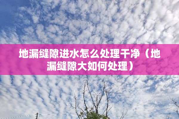 地漏缝隙进水怎么处理干净（地漏缝隙大如何处理）