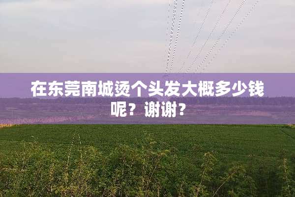 在东莞南城烫个头发大概多少钱呢？谢谢？