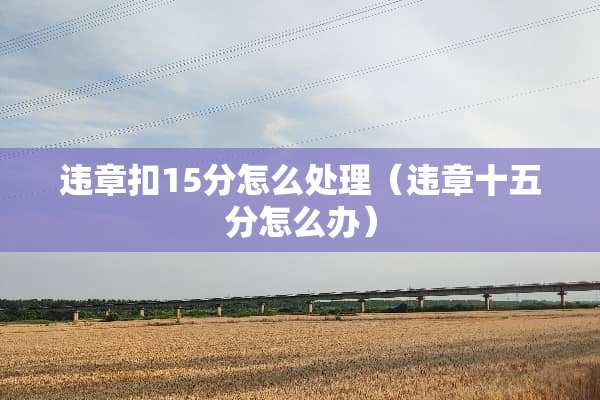 违章扣15分怎么处理（违章十五分怎么办）