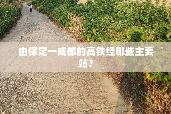 由保定一成都的高铁经哪些主要站？