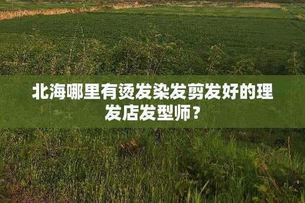 北海哪里有烫发染发剪发好的理发店发型师？