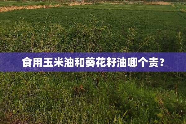 食用玉米油和葵花籽油哪个贵？