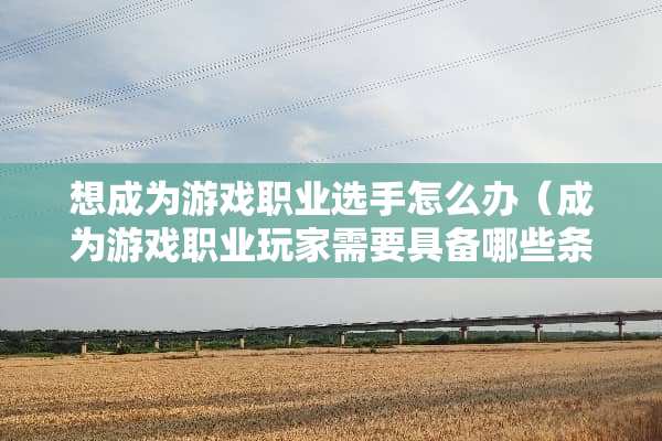想成为游戏职业选手怎么办（成为游戏职业玩家需要具备哪些条件）