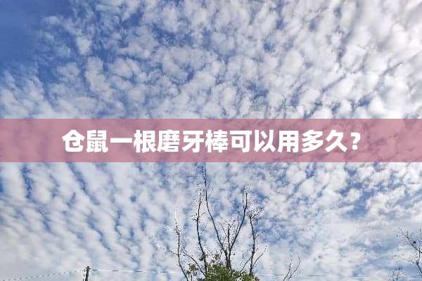 仓鼠一根磨牙棒可以用多久？