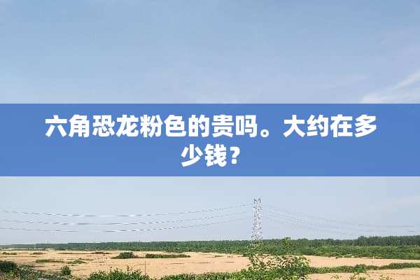 六角恐龙粉色的贵吗。大约在多少钱？