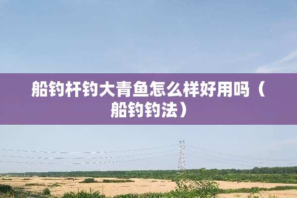 船钓杆钓大青鱼怎么样好用吗（船钓钓法）