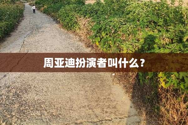 周亚迪扮演者叫什么？