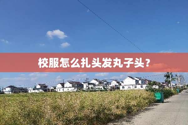 校服怎么扎头发丸子头？