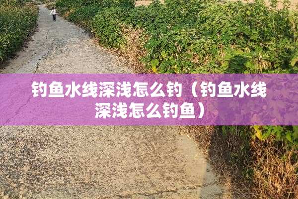 钓鱼水线深浅怎么钓（钓鱼水线深浅怎么钓鱼）