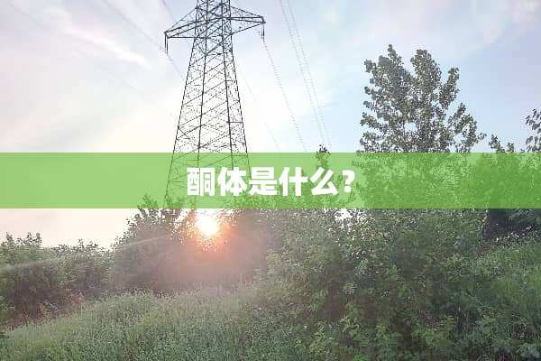 酮体是什么？