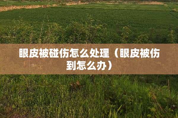 眼皮被碰伤怎么处理（眼皮被伤到怎么办）