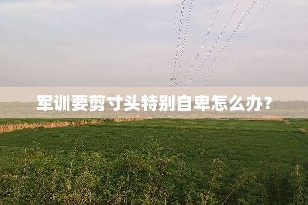 军训要剪寸头特别自卑怎么办？