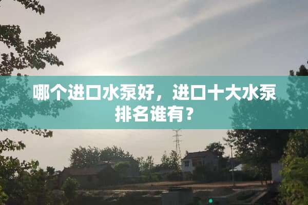 哪个进口水泵好，进口十大水泵排名谁有？