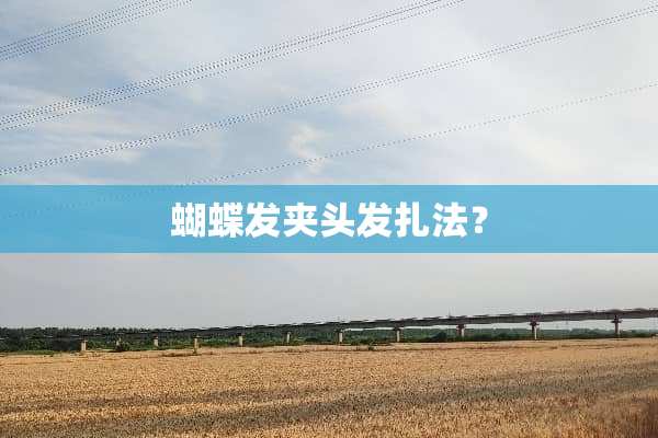 蝴蝶发夹头发扎法？