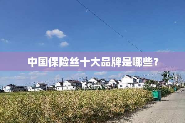 中国保险丝十大品牌是哪些？
