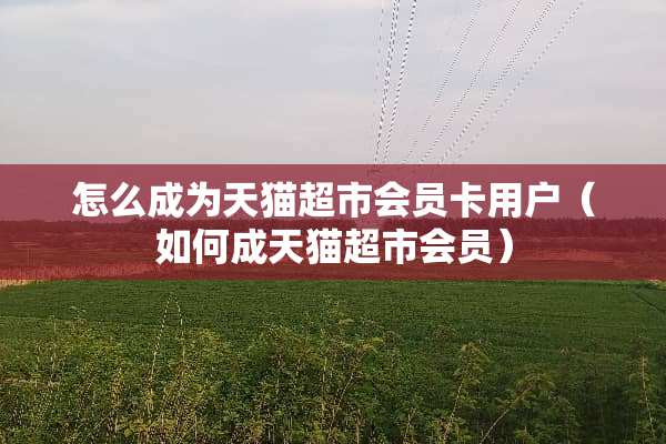 怎么成为天猫超市会员卡用户（如何成天猫超市会员）