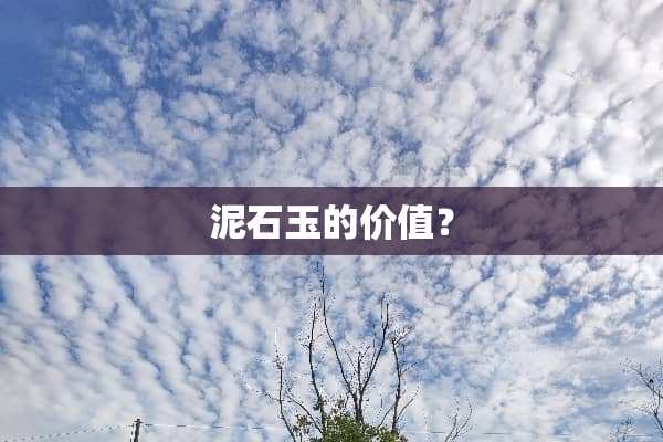 泥石玉的价值？