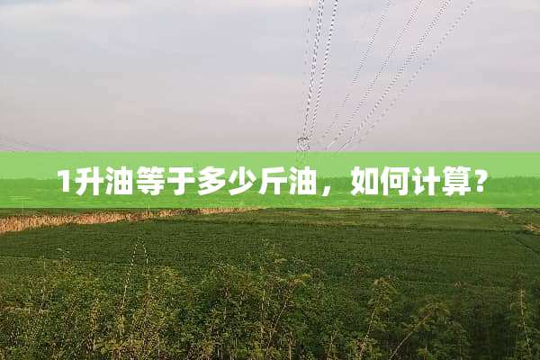 1升油等于多少斤油，如何计算？