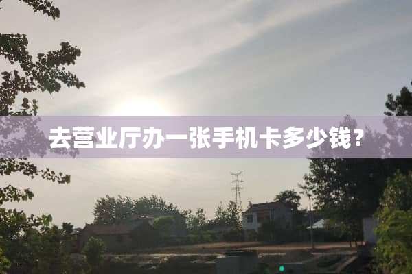 去营业厅办一张手机卡多少钱？