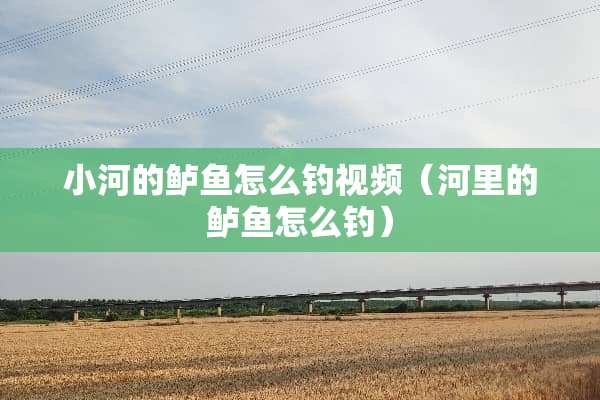 小河的鲈鱼怎么钓视频（河里的鲈鱼怎么钓）