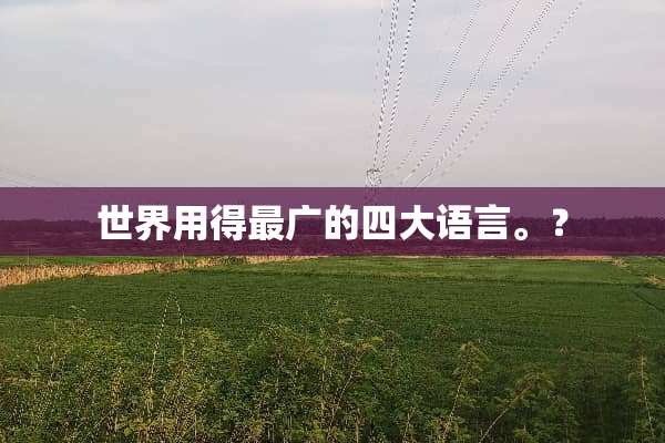世界用得最广的四大语言。？