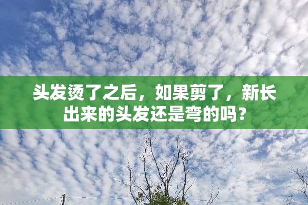头发烫了之后，如果剪了，新长出来的头发还是弯的吗？