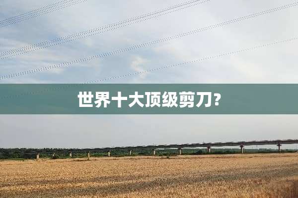 世界十大**剪刀？