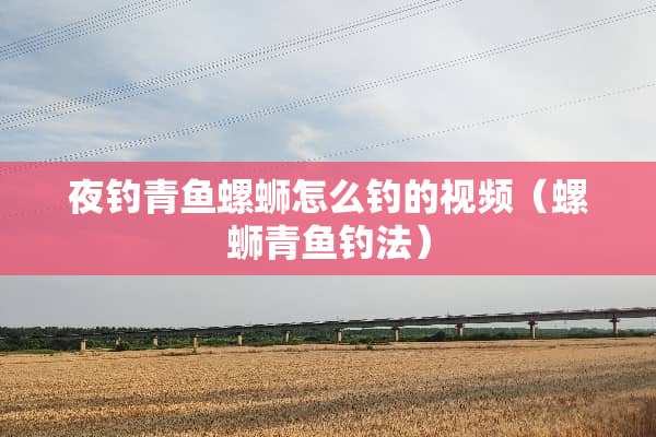 夜钓青鱼螺蛳怎么钓的视频（螺蛳青鱼钓法）